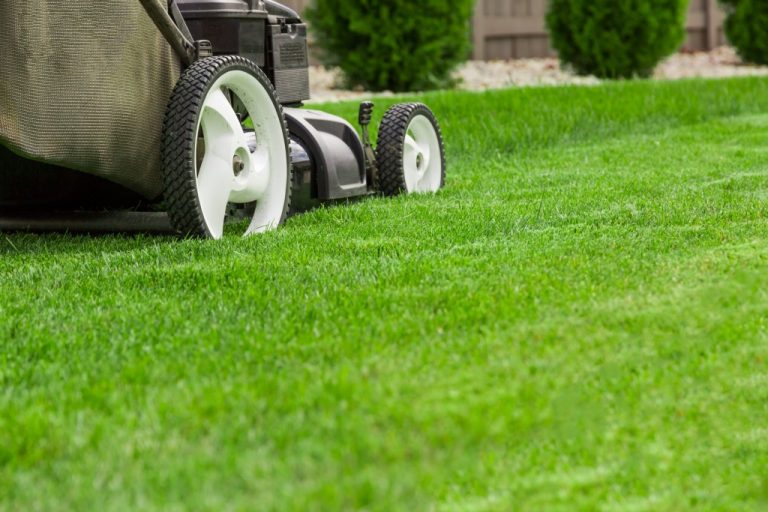 mowing the lawn
