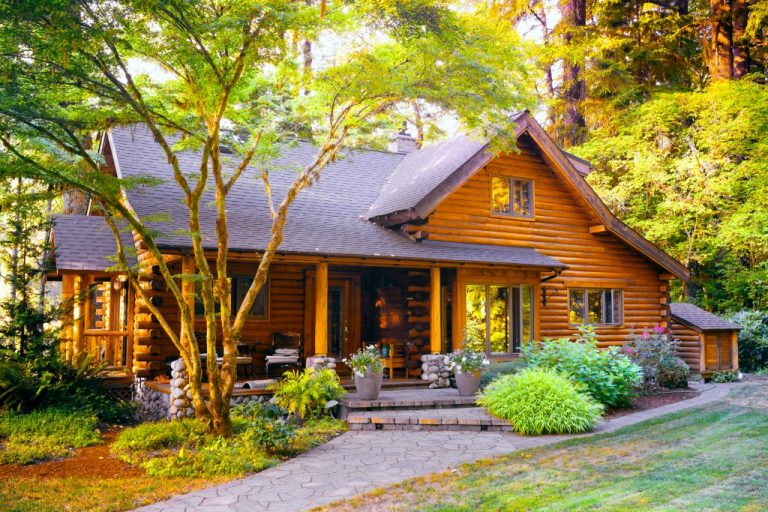 cottage surrounded by trees