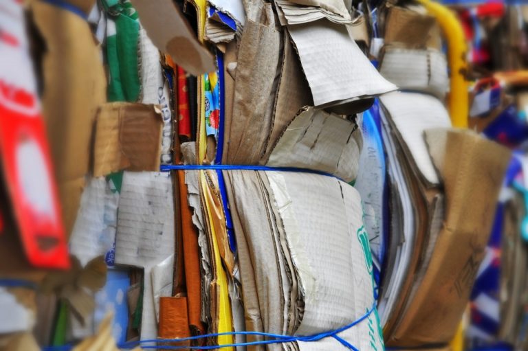cardboard waste